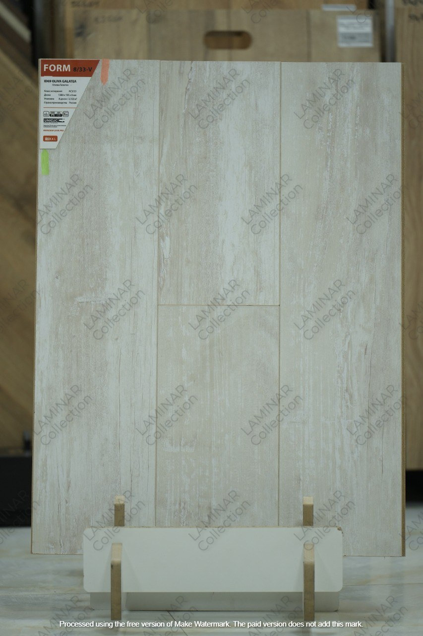 ID69 OLIVA GALATEA